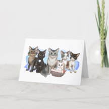 Carte de voeux pour les chats et l'équipage 5" x 7