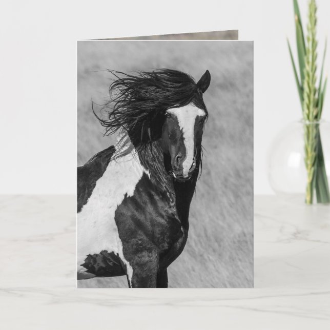 Carte de voeux pour les Chevaux Sauvages - Washaki (Devant)