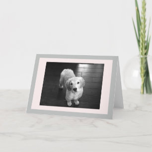 Carte de voeux pour les chiots d'extraction en or 