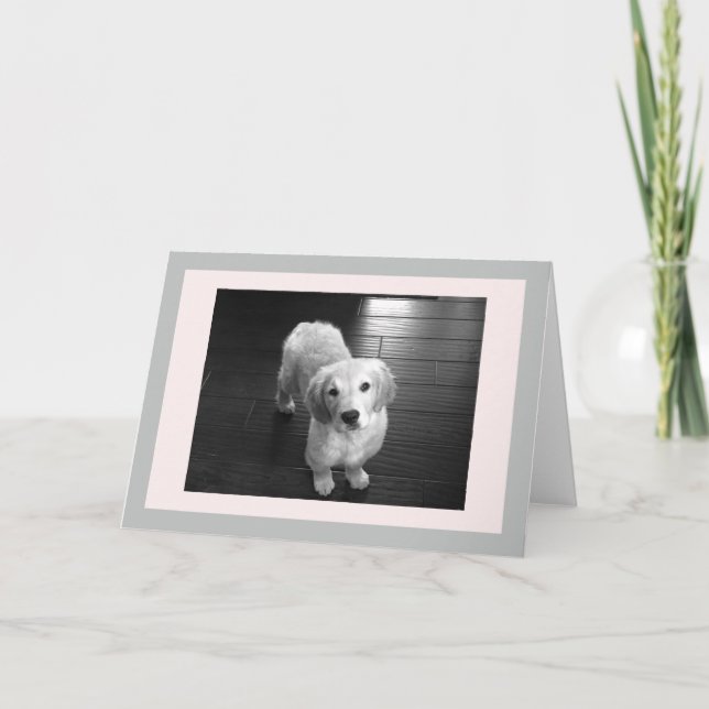 Carte de voeux pour les chiots d'extraction en or  (Devant)
