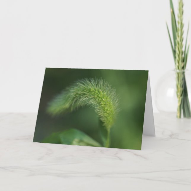 Carte de voeux pour l'herbe grasse H (Devant)