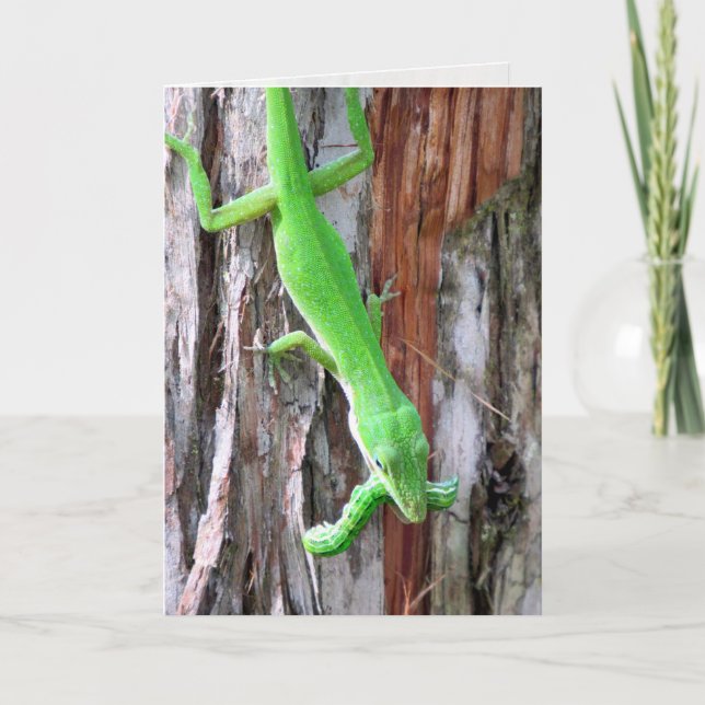 Carte de voeux pour l'oignon vert (Lizard) (Devant)
