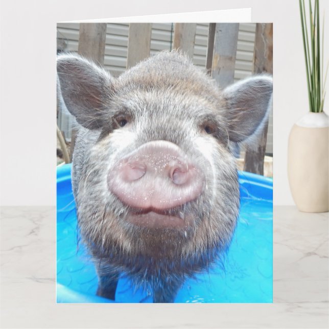 Carte de voeux pour mini-cochon adorable personnal (Devant)