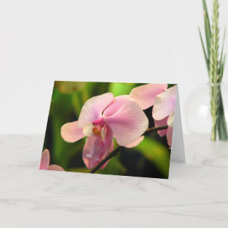 Carte de voeux pour orchidée rose