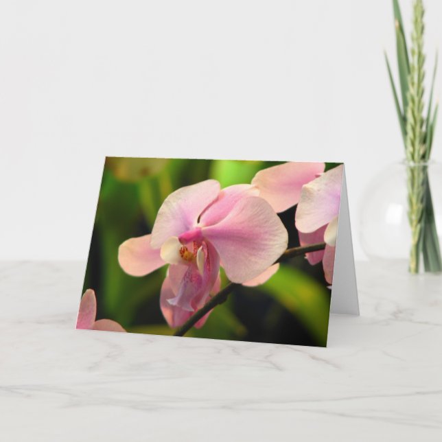 Carte de voeux pour orchidée rose (Devant)