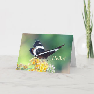 Carte de voeux pour papillon amiral