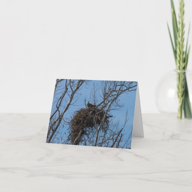 Carte de voeux pour problème double aigle (Devant)