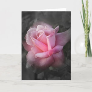 Carte de voeux pour Rose mystique