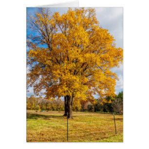 Carte de voeux pour sucre jaune d'automne