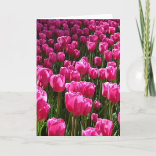 Carte de voeux pour tulipes roses