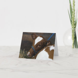 Carte de voeux pour veau