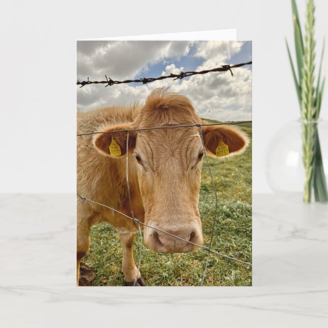 Carte de vœux pour vous de la part d'une vache (Devant)