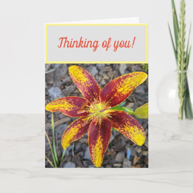 Carte de vœux pour vous Lilly (Devant)