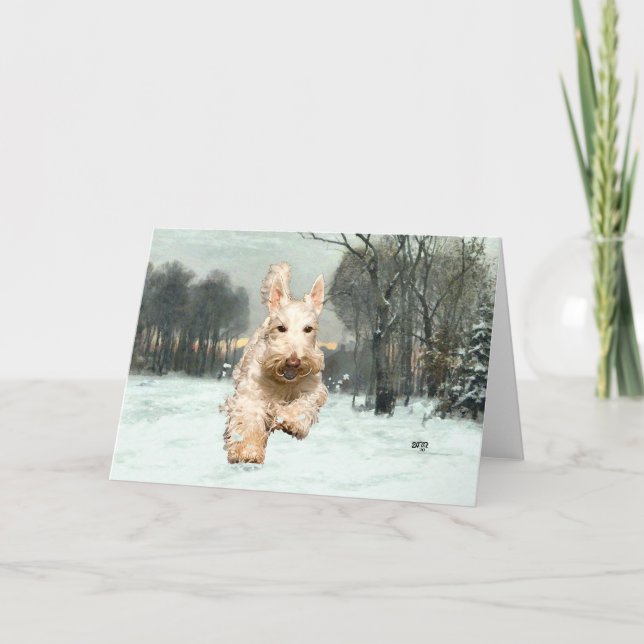 Carte de vœux pour Wheaten Scottish Terrier (Devant)