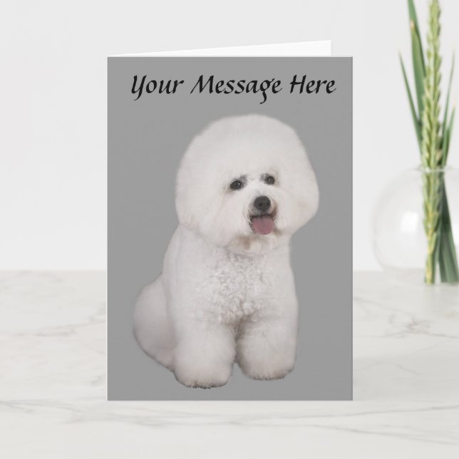 Carte de voeux précieuse de Bichon Frise (Devant)