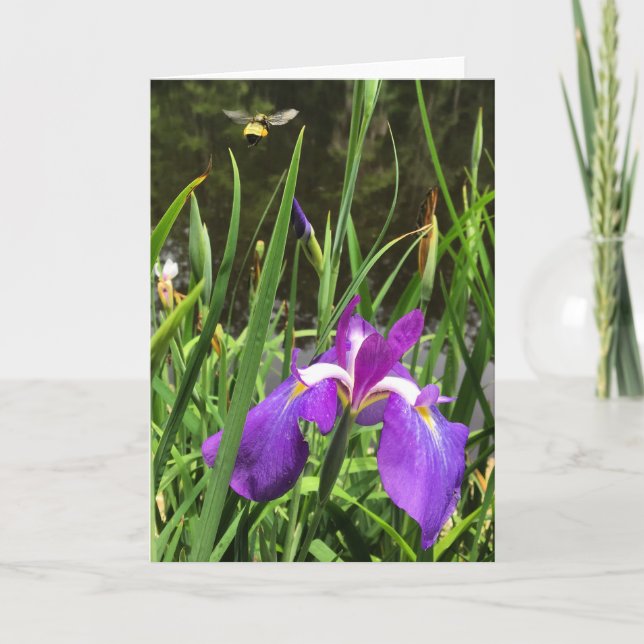 carte de voeux printemps #1 (Devant)