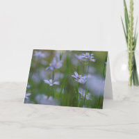 Carte de vœux Psaumes 115:15 avec Fleurs Bleues