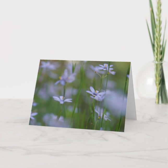 Carte de vœux Psaumes 115:15 avec fleurs bleues (Devant)