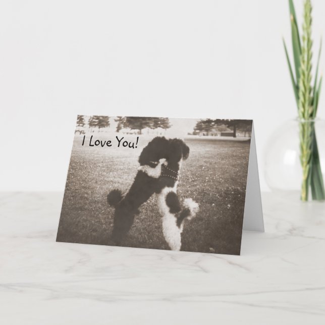 Carte de voeux Puppy Love (Devant)