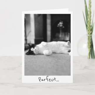 Carte de voeux Purfect Kitty