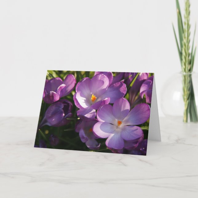 Carte de voeux Purple Crocus (Devant)