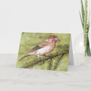 Carte de voeux Purple Finch
