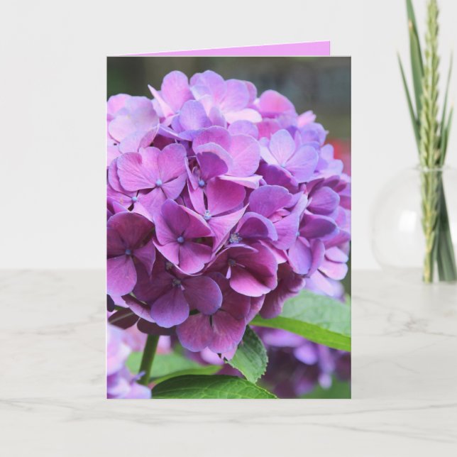 Carte de voeux Purple Hydrangea (Devant)