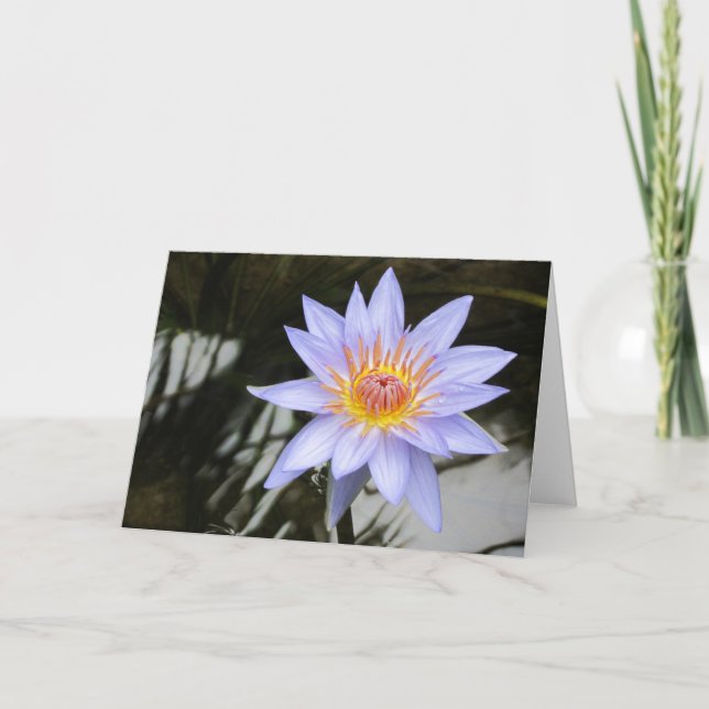 Carte de voeux Purple Water Lily (Devant)