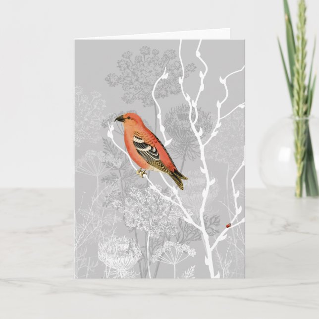 Carte de voeux Queen Anne Morning (Devant)