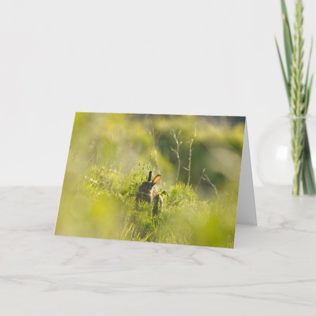 Carte de voeux - Rabbit 3 (Devant)