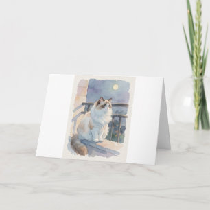 Carte de vœux Ragdoll Balcon Clair de Lune