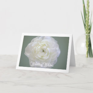 Carte de vœux Ranunculus blanc