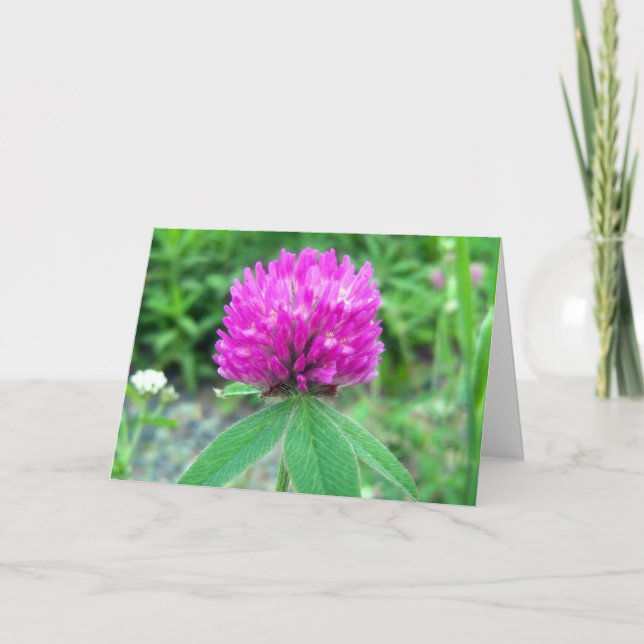 Carte de voeux Red Clover Blossom 3 (Devant)