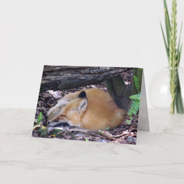 Carte de voeux Red Fox (Devant)