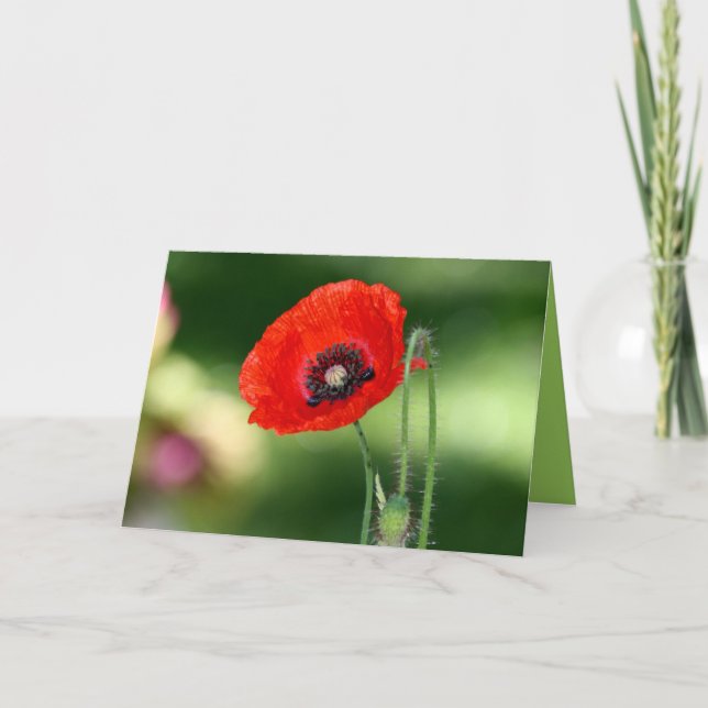Carte de voeux Red Poppy Seed (Devant)