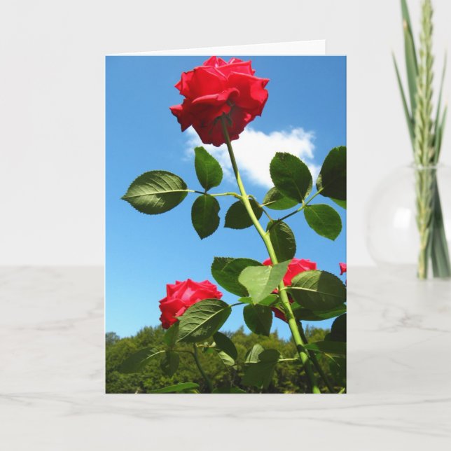Carte de voeux Red Roses (Devant)