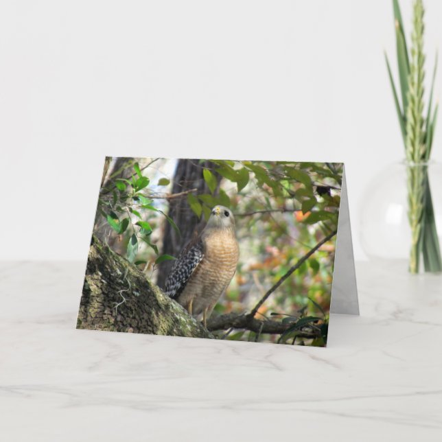 Carte de voeux Red Shoulder Hawk (Devant)