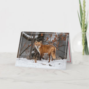 Carte de vœux Renard roux dans la neige
