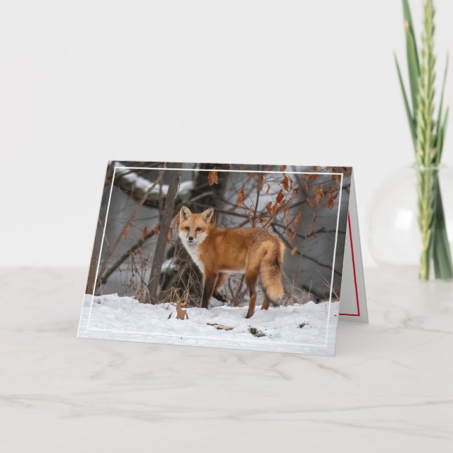 Carte de vœux Renard roux dans la neige (Devant)