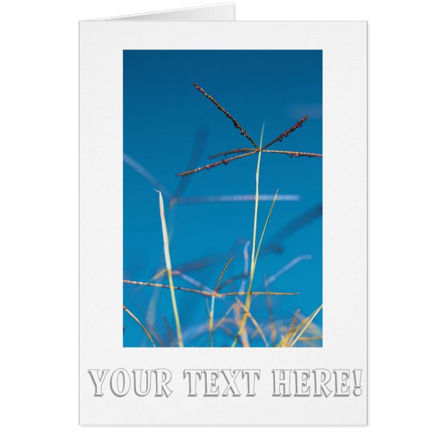 Carte de vœux Rêve d'Herbe Dorée sous un Ciel Bleu (Devant)