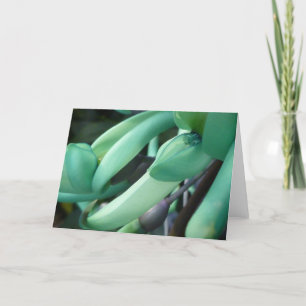 Carte de voeux rêveuse de jade