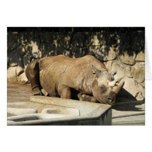 Carte de voeux Rhino couchage