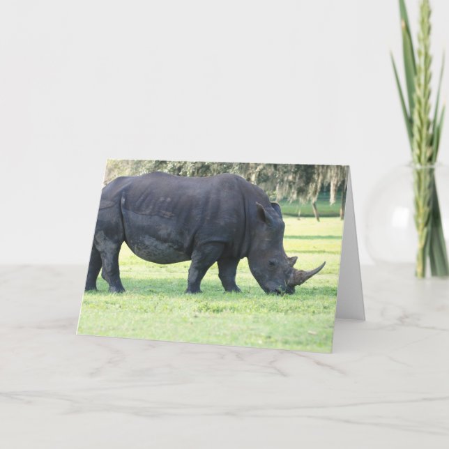 Carte de voeux Rhino Grazing (Devant)
