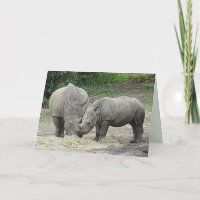 Carte de voeux Rhinoceros (Devant)