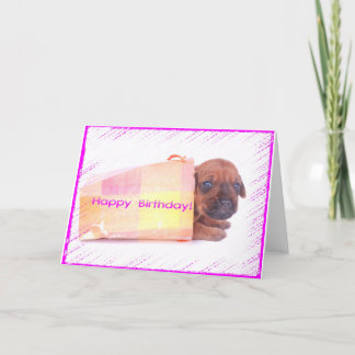 Carte de voeux Rhodesian Ridgeback HEUREUSE ANNIVE