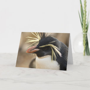 Carte de voeux Rockhopper Penguin