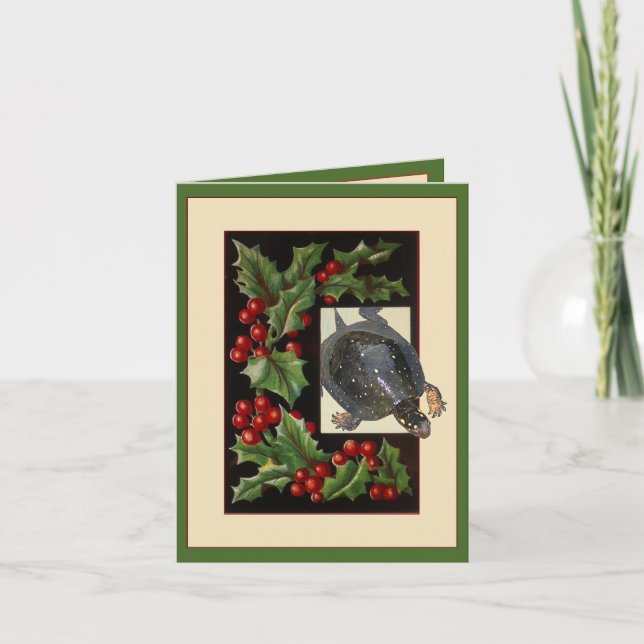 Carte de voeux romantique de Noël à la tortue (Devant)