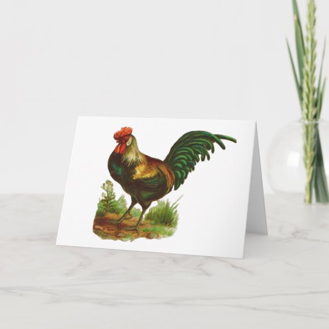 Carte de voeux Rooster (Devant)