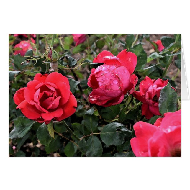 Carte de voeux rose (Devant horizontal)