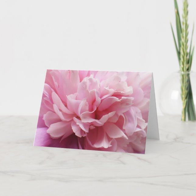 Carte de voeux rose de blanc de fleur (Devant)